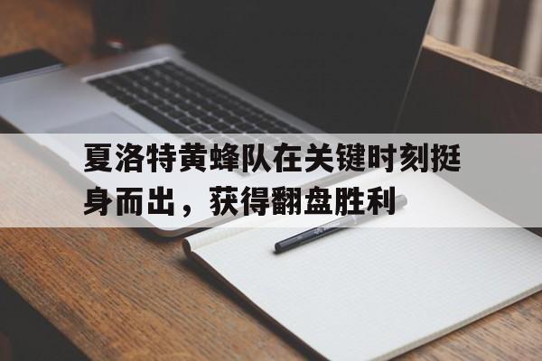 IM电竞博彩平台-夏洛特黄蜂队在关键时刻挺身而出，获得翻盘胜利