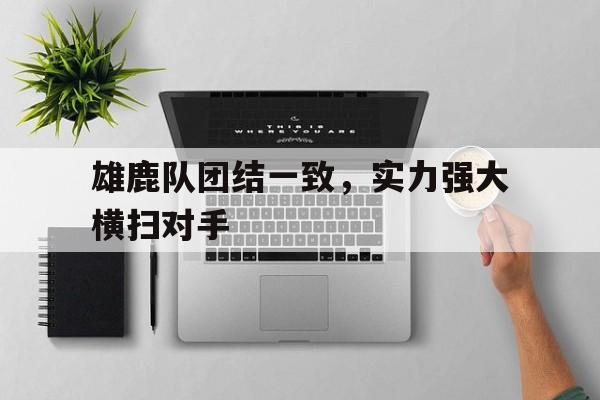 IM电竞博彩平台-雄鹿队团结一致，实力强大横扫对手